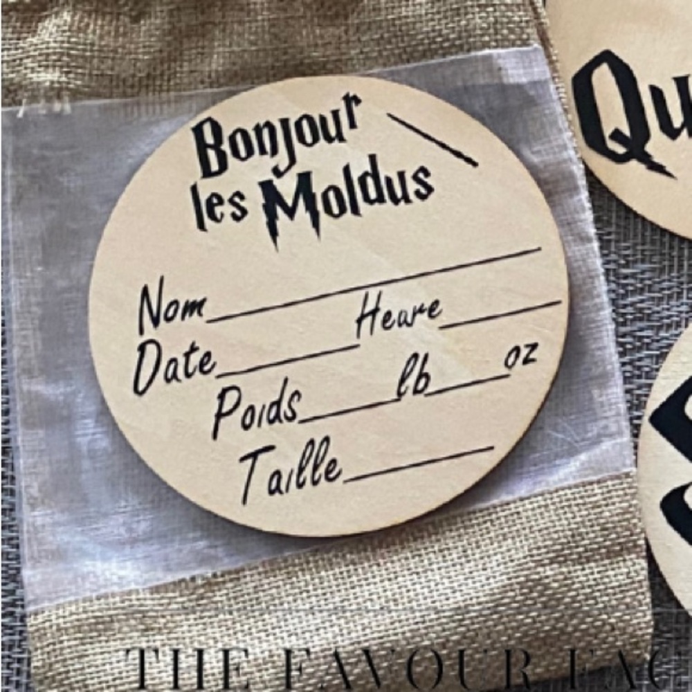 Bonjour les Moldus - Harry Potter Monthly Milestone Discs (en français) - Picture 2 of 2